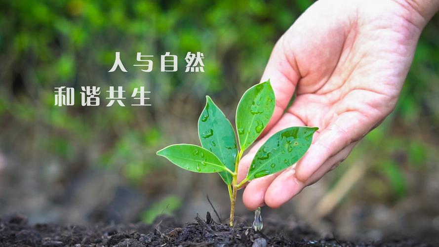地球人官网 - 国际互换与跨文化合作